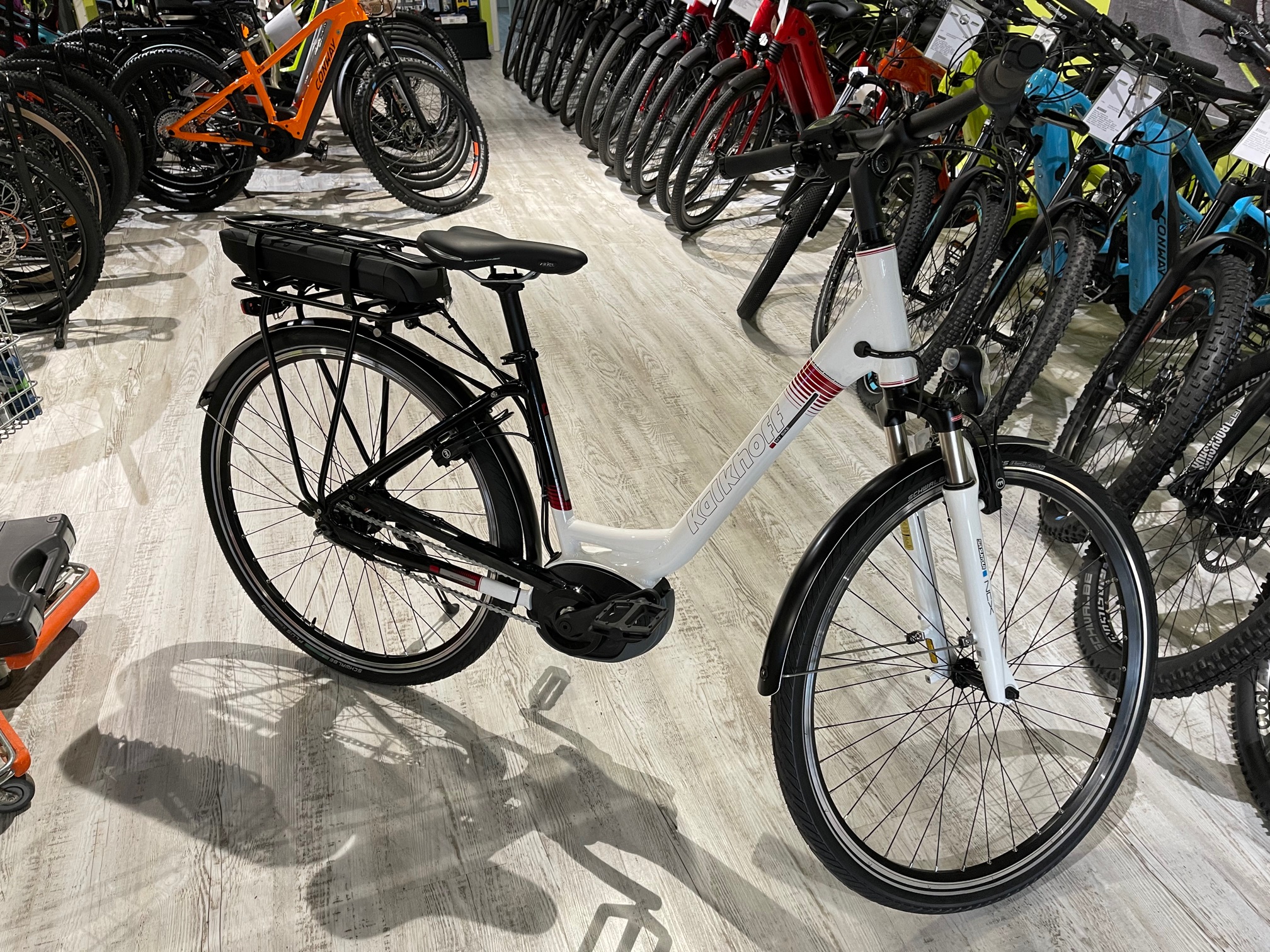 VERFÜGBARE EBIKES IM SHOP ErlebnisFahrrad